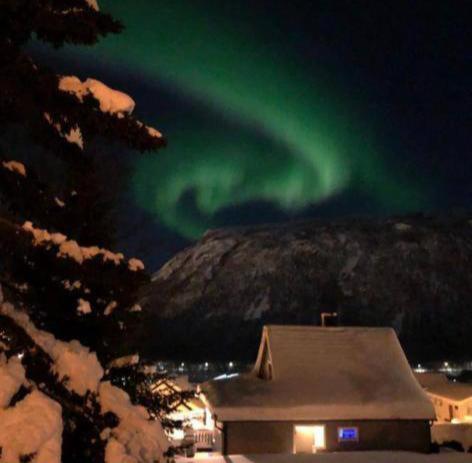 Tromso Arctic Villa With Free Parking Zewnętrze zdjęcie
